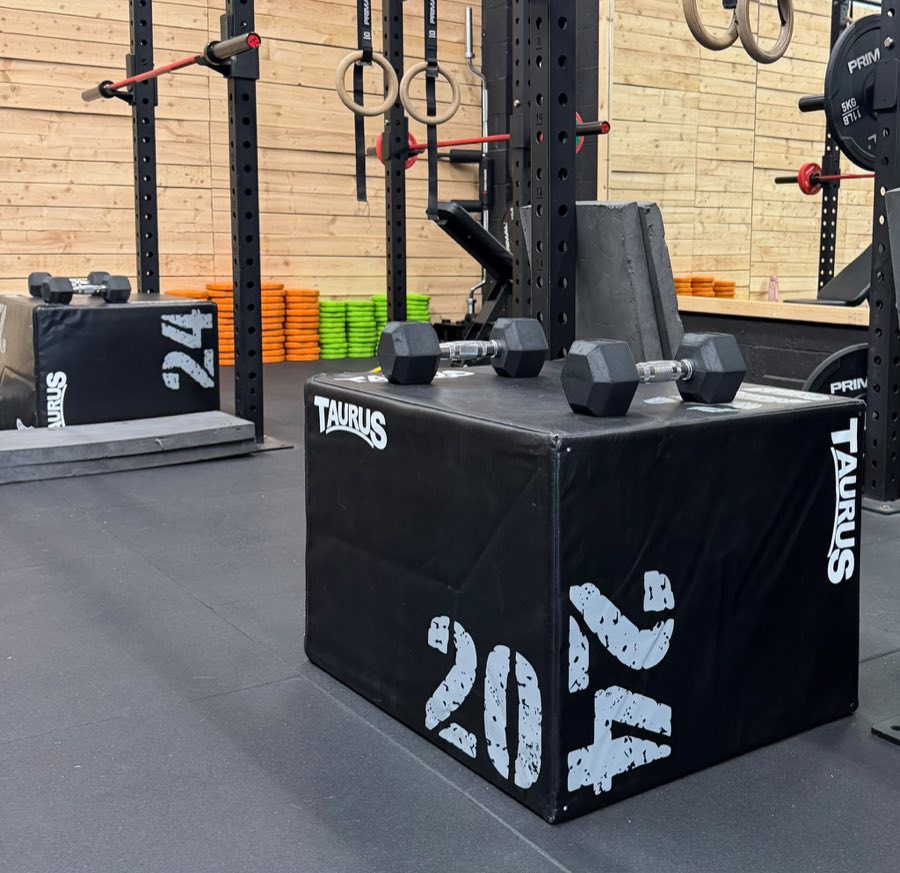 Weights, dumbbells and racks in the training area at No Lippy Fitness